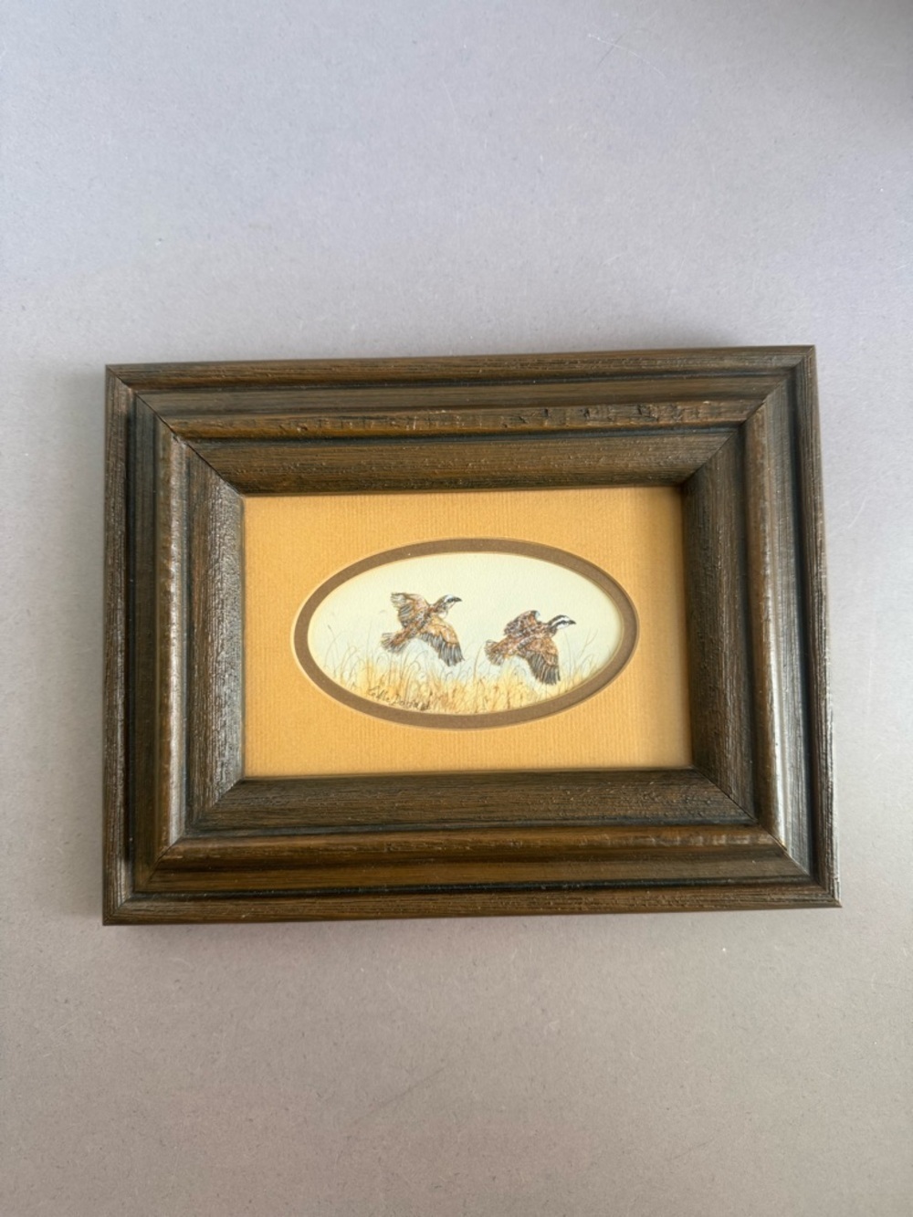 Original Rustic Brown Framed Game Bird Art Print - Home Accents